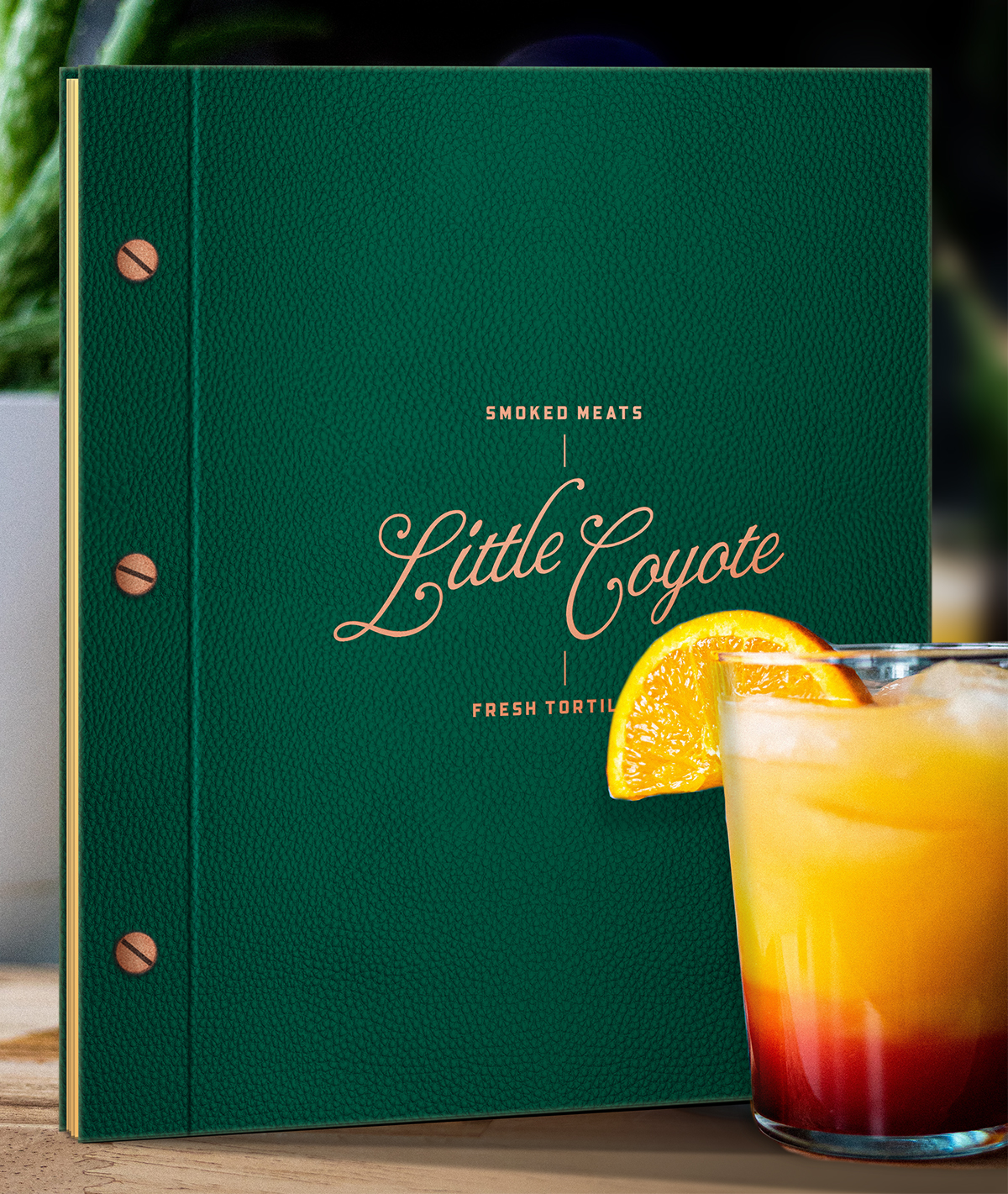 little-coyote_04