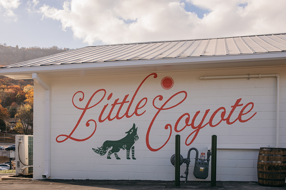 little-coyote_06